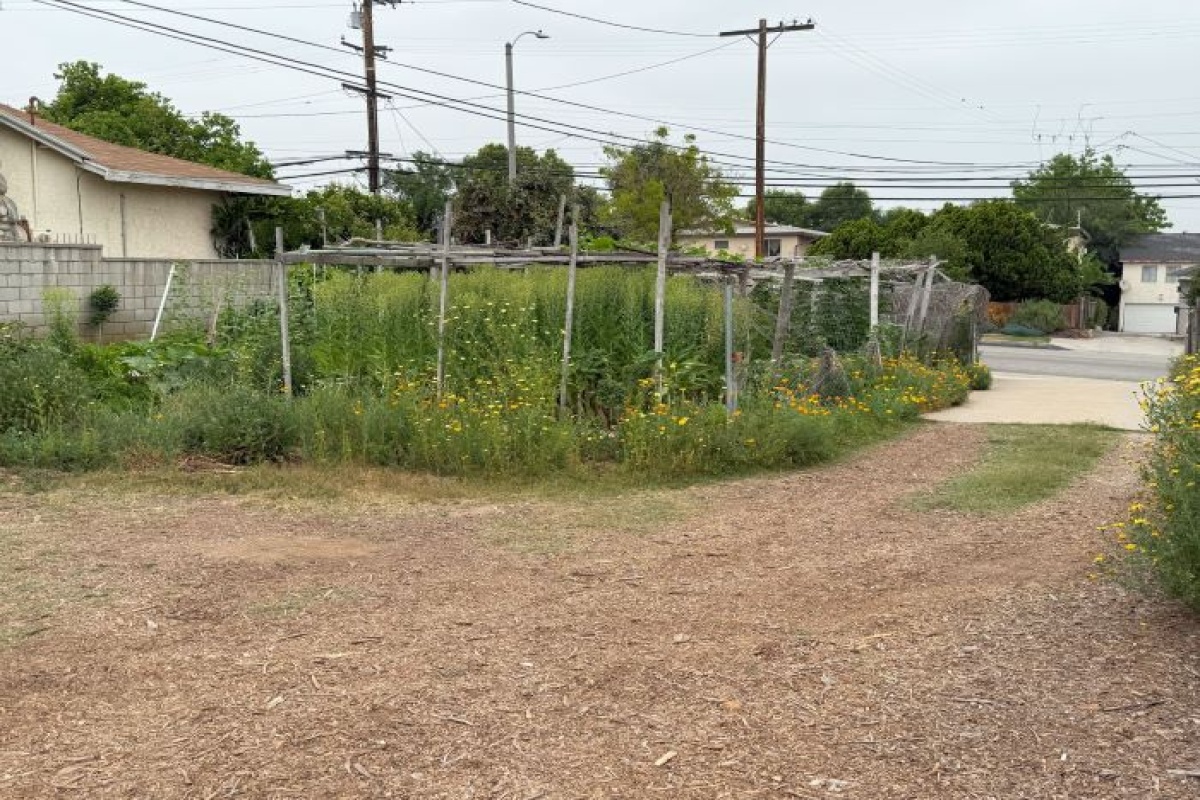 7618 Hellman Ave, Rosemead, California 91770, 3 Bedrooms Bedrooms, ,1 BathroomBathrooms,Single Family Home,Residential Featured Listings,Hellman,1134